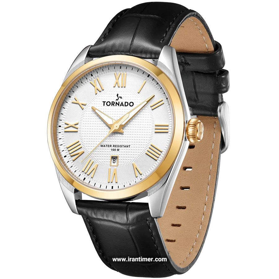 قیمت و خرید ساعت مچی مردانه تورنادو(Tornado) مدل T8007-SLBWG کلاسیک | اورجینال و اصلی