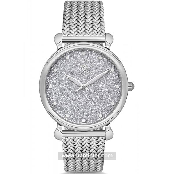 قیمت و خرید ساعت مچی زنانه سانتا باربارا پلو(Santa Barbara Polo) مدل SB.1.10132-1 کلاسیک | اورجینال و اصلی