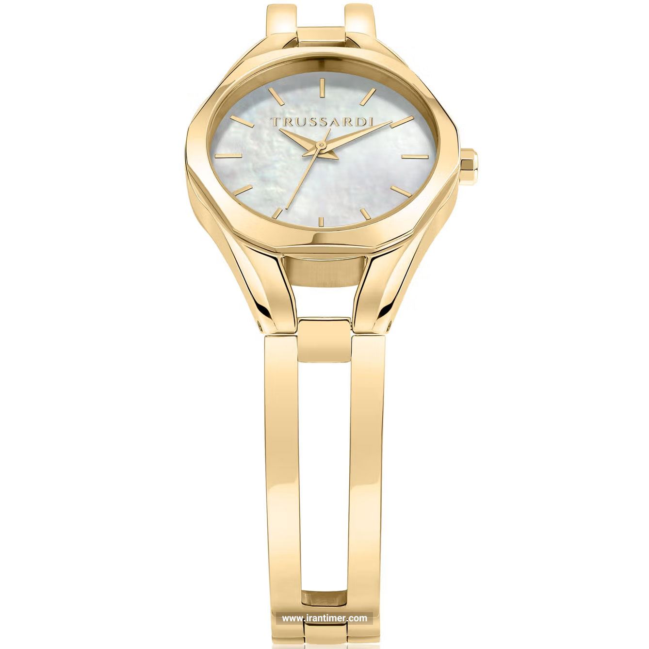 قیمت و خرید ساعت مچی زنانه تروساردی(TRUSSARDI) مدل R2453159501 کلاسیک | اورجینال و اصلی
