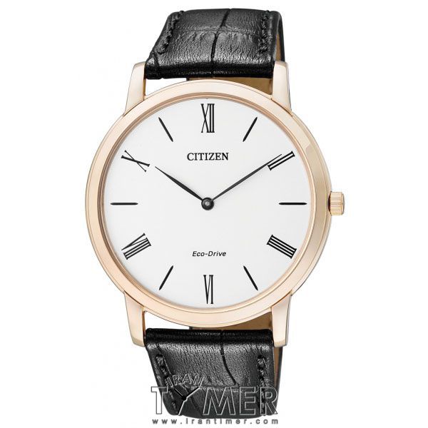 قیمت و خرید ساعت مچی مردانه سیتیزن(CITIZEN) مدل AR1113-12B کلاسیک | اورجینال و اصلی