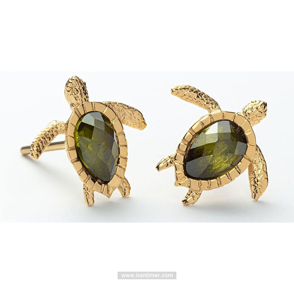 قیمت و خرید گوشواره زنانه پاول هویت(PAUL HEWITT) مدل PH-JE-0183 فشن (ست لباس) | اورجینال و اصلی