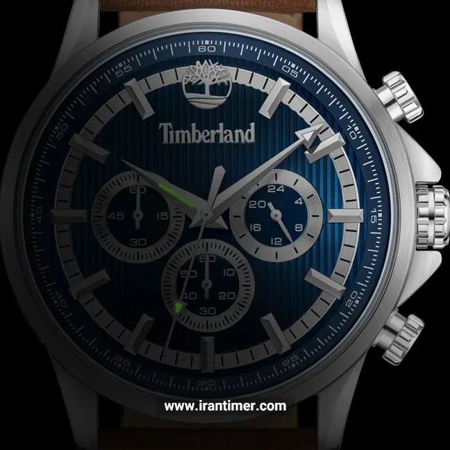 قیمت و خرید ساعت مچی مردانه تیمبرلند(TIMBERLAND) مدل TDWGF0054602 اسپرت | اورجینال و اصلی