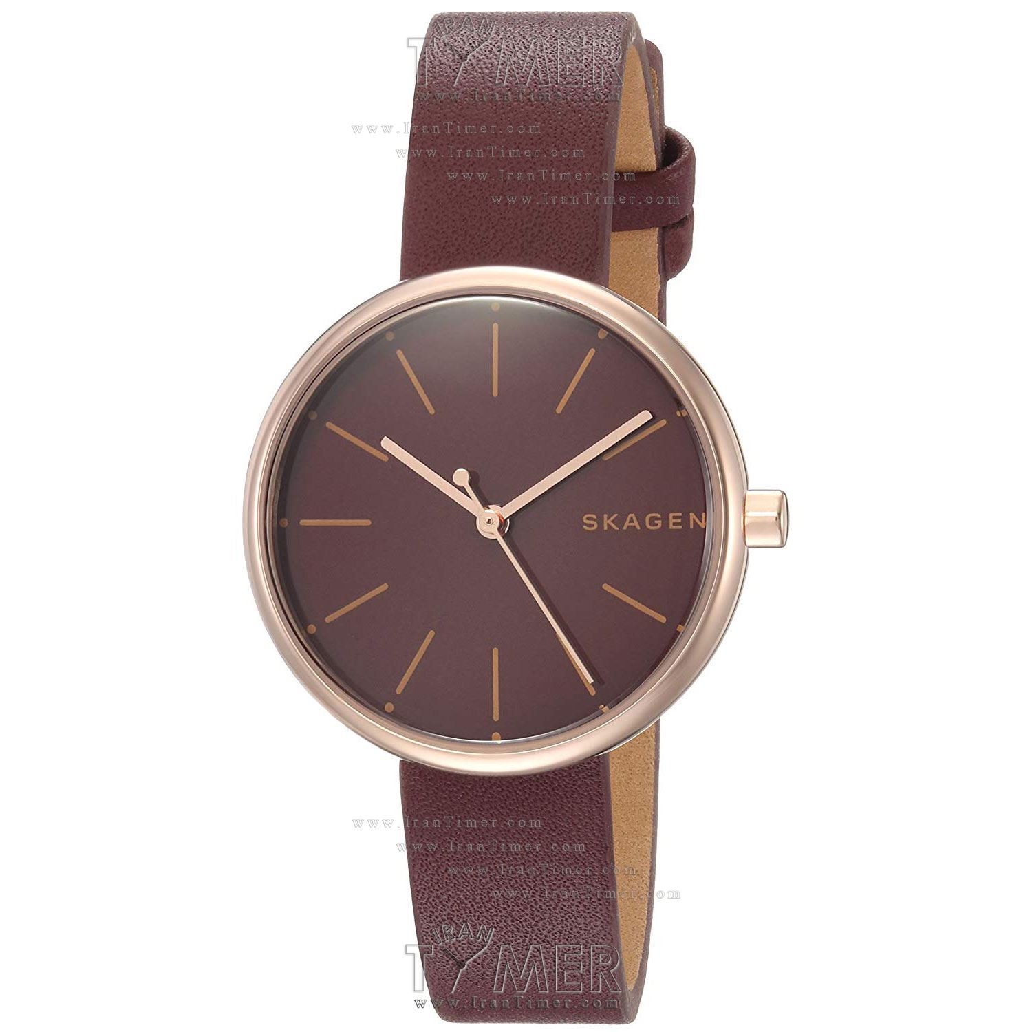 قیمت و خرید ساعت مچی زنانه اسکاگن(SKAGEN) مدل SKW2646 کلاسیک | اورجینال و اصلی