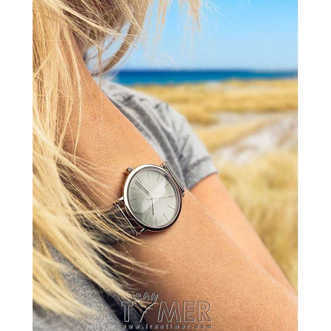 قیمت و خرید ساعت مچی زنانه برینگ(BERING) مدل B14134-004 کلاسیک | اورجینال و اصلی