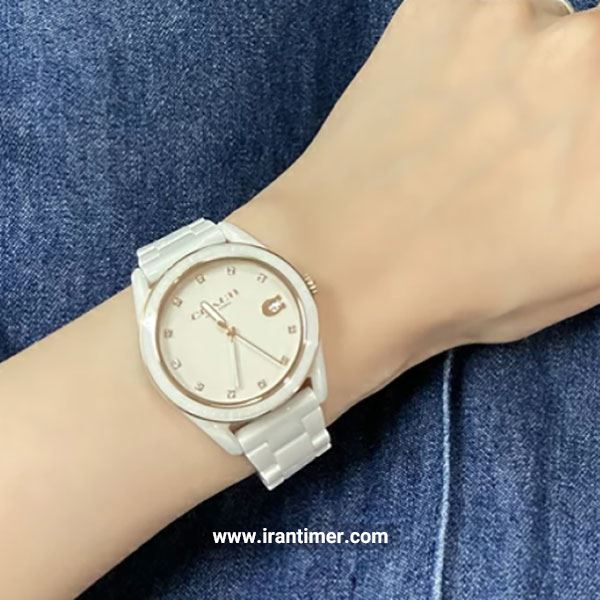 قیمت و خرید ساعت مچی زنانه کوچ(Coach) مدل 14503263 کلاسیک | اورجینال و اصلی