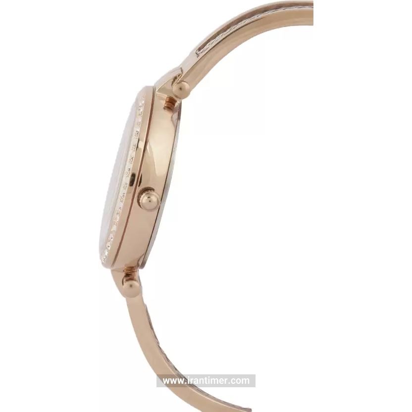 قیمت و خرید ساعت مچی زنانه دنیل کلین(Daniel Klein) مدل DK.1.12422-2 فشن | اورجینال و اصلی