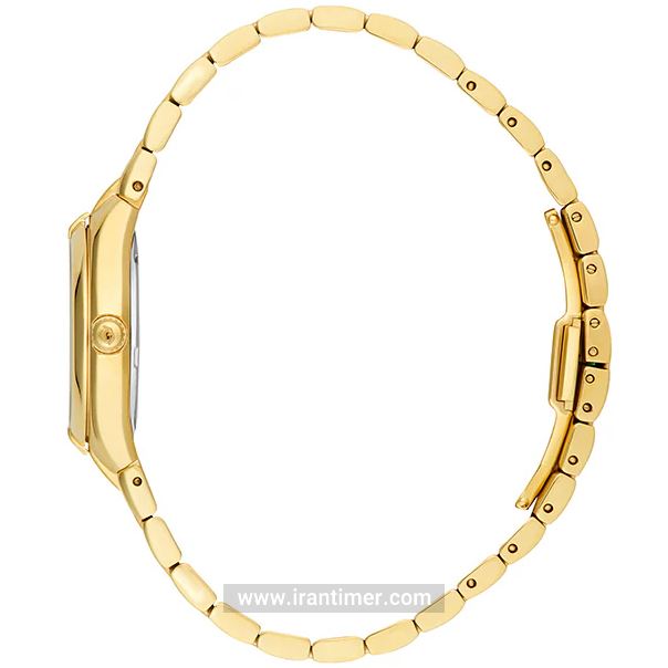 قیمت و خرید ساعت مچی زنانه فلیپ واچ(Philip Watch) مدل R8253222502 فشن | اورجینال و اصلی