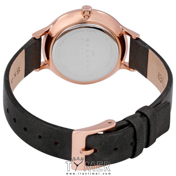 قیمت و خرید ساعت مچی زنانه اسکاگن(SKAGEN) مدل SKW2267 کلاسیک | اورجینال و اصلی