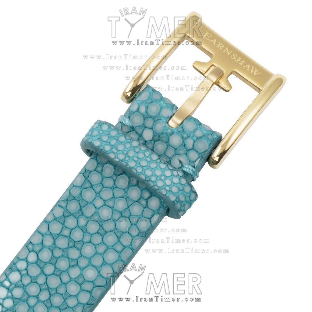 قیمت و خرید ساعت مچی زنانه ارنشا(EARNSHAW) مدل ES-8029-07 کلاسیک | اورجینال و اصلی