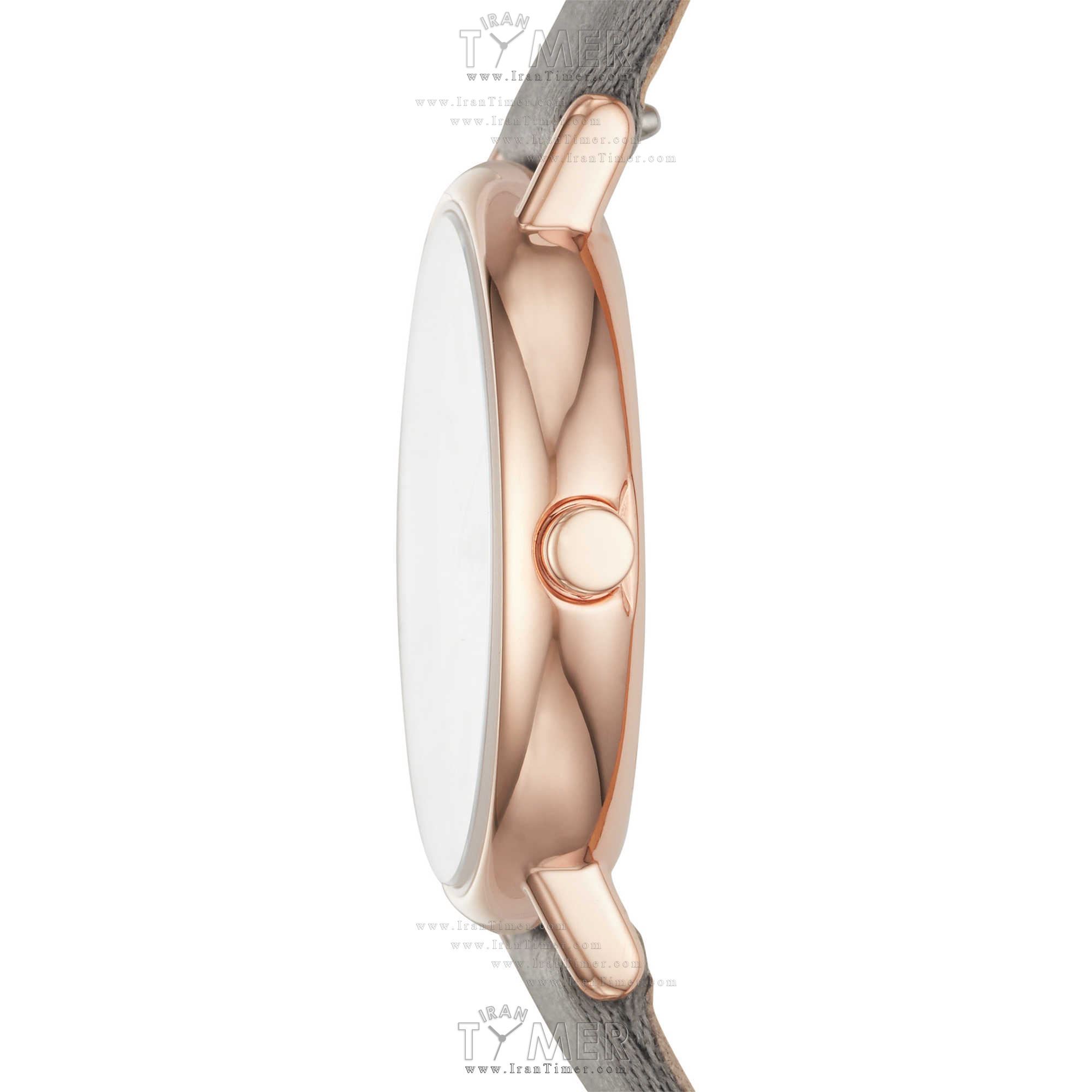 قیمت و خرید ساعت مچی زنانه اسکاگن(SKAGEN) مدل SKW2697 کلاسیک | اورجینال و اصلی