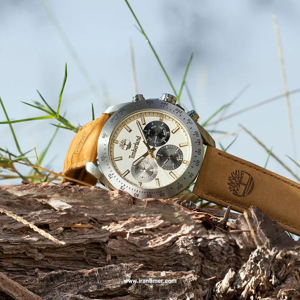 قیمت و خرید ساعت مچی مردانه تیمبرلند(TIMBERLAND) مدل TDWGF0009803 کلاسیک | اورجینال و اصلی