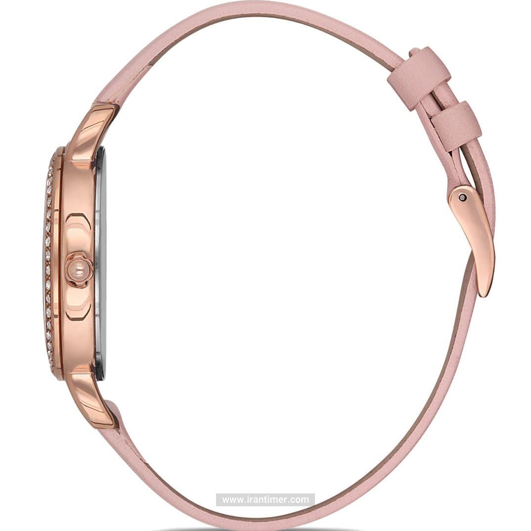 قیمت و خرید ساعت مچی زنانه دنیل کلین(Daniel Klein) مدل DK.1.12563-4 فشن | اورجینال و اصلی