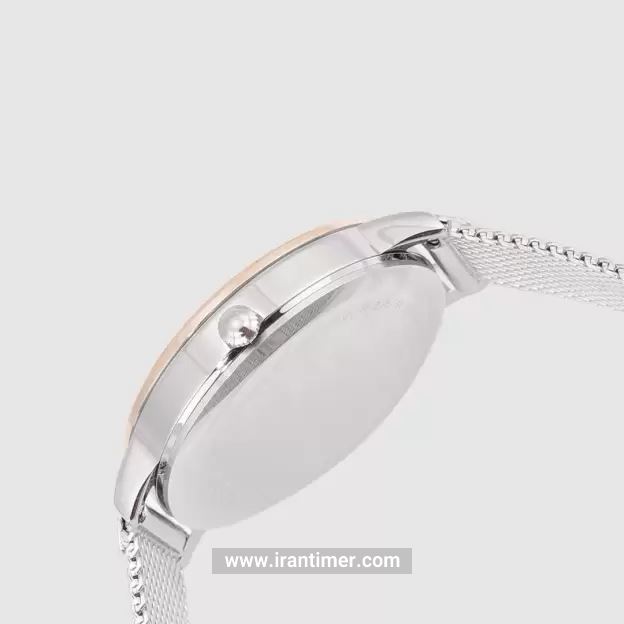 قیمت و خرید ساعت مچی زنانه دنیل کلین(Daniel Klein) مدل DK.1.12379-4 کلاسیک | اورجینال و اصلی