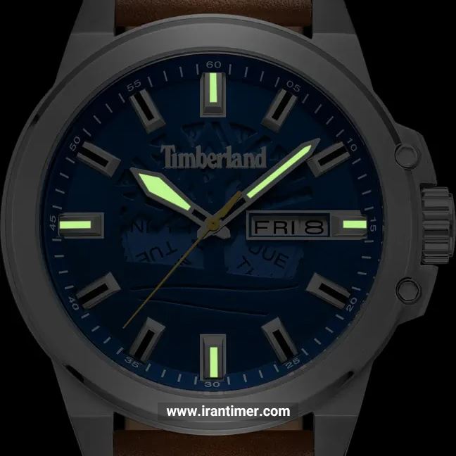 قیمت و خرید ساعت مچی مردانه تیمبرلند(TIMBERLAND) مدل TDWGB0040801 کلاسیک | اورجینال و اصلی