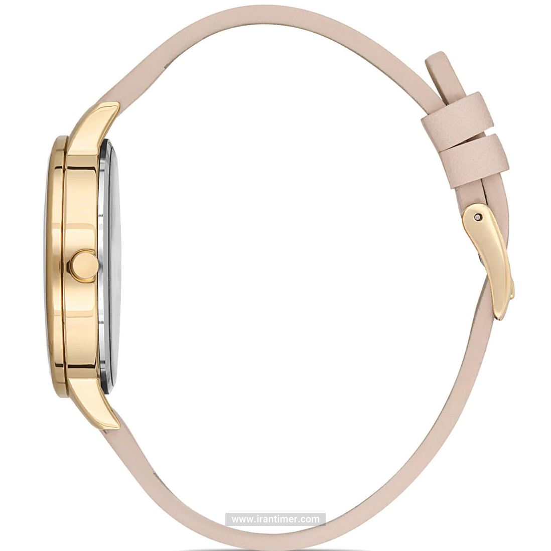 قیمت و خرید ساعت مچی زنانه دنیل کلین(Daniel Klein) مدل DK.1.12559-4 کلاسیک | اورجینال و اصلی