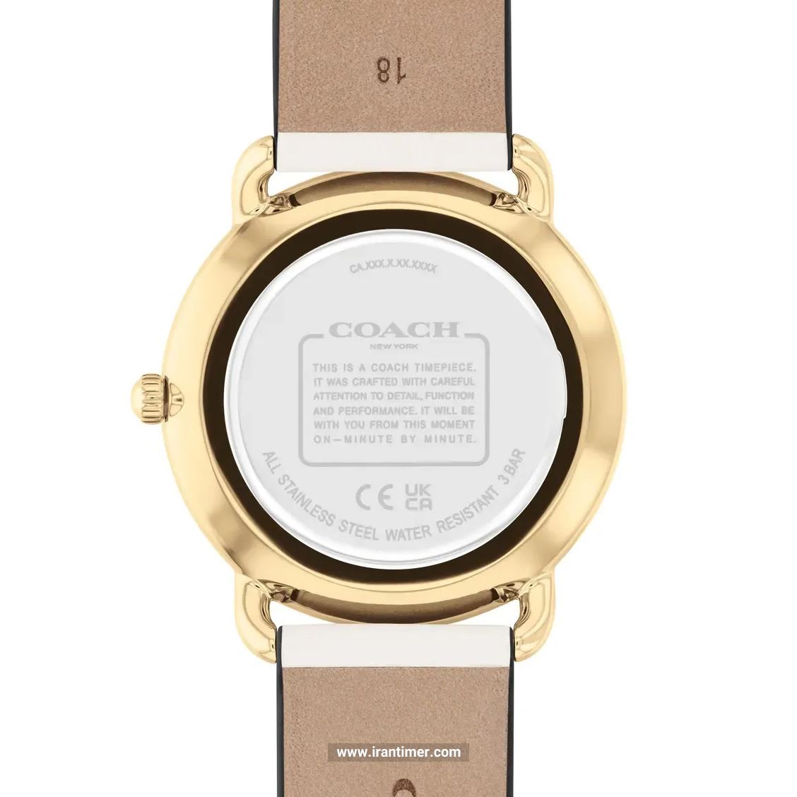 قیمت و خرید ساعت مچی زنانه کوچ(Coach) مدل 14504294 فشن | اورجینال و اصلی