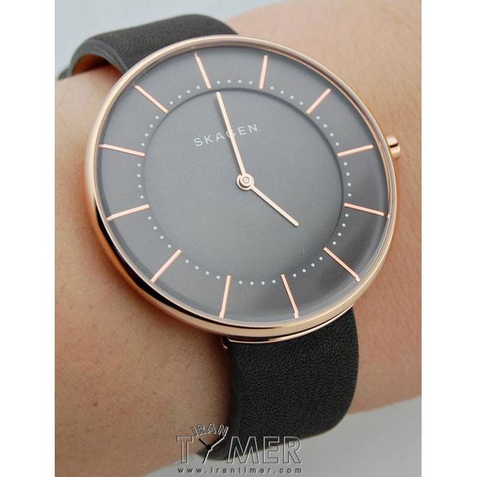 قیمت و خرید ساعت مچی زنانه اسکاگن(SKAGEN) مدل SKW2613 کلاسیک | اورجینال و اصلی