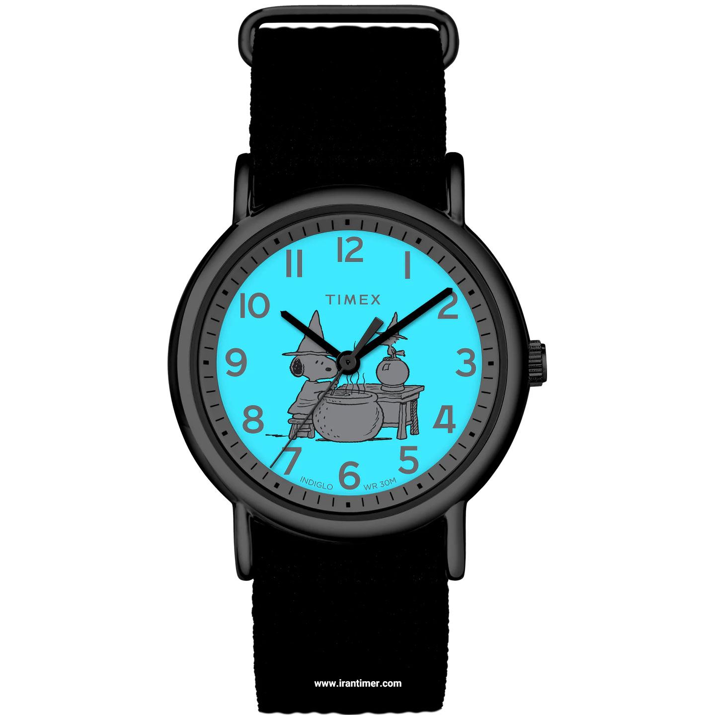 قیمت و خرید ساعت مچی مردانه زنانه تایمکس(TIMEX) مدل TW2W84900 فشن | اورجینال و اصلی