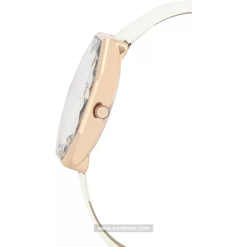 قیمت و خرید ساعت مچی زنانه دنیل کلین(Daniel Klein) مدل DK.1.12376-6 کلاسیک | اورجینال و اصلی