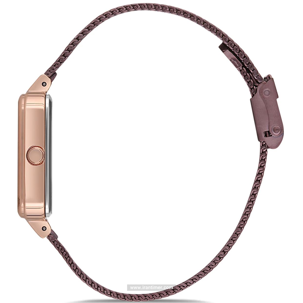 قیمت و خرید ساعت مچی زنانه دنیل کلین(Daniel Klein) مدل DK.1.12537-6 کلاسیک | اورجینال و اصلی