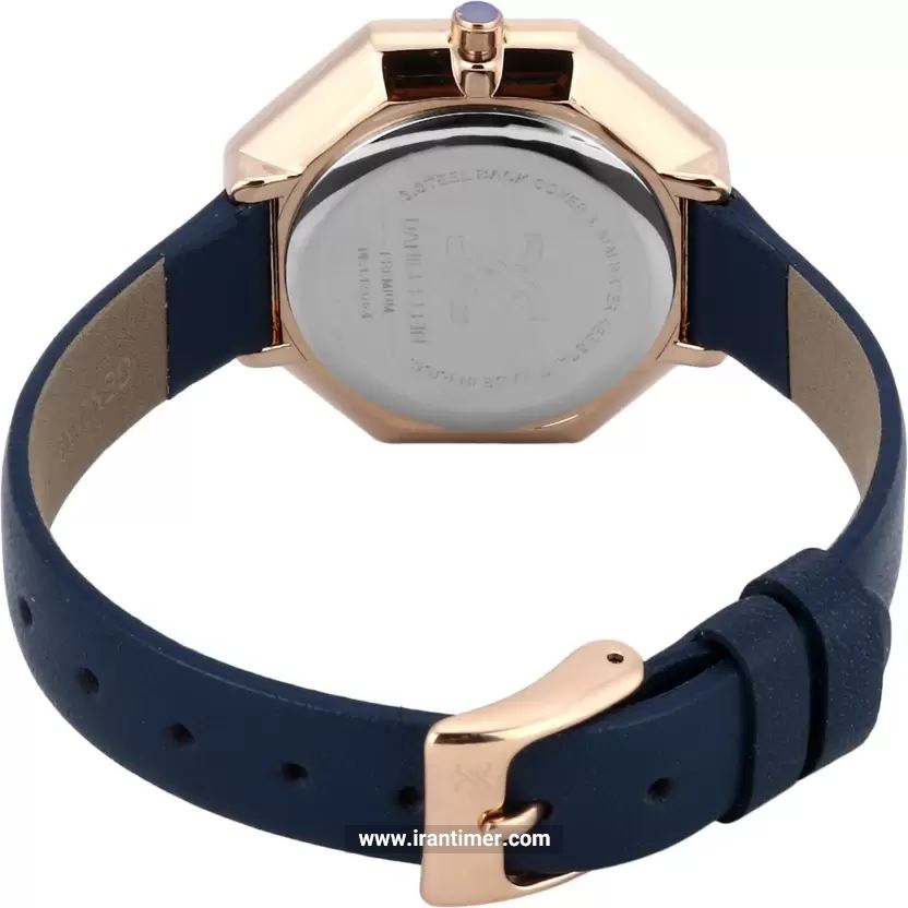 قیمت و خرید ساعت مچی زنانه دنیل کلین(Daniel Klein) مدل DK.1.12376-4 کلاسیک | اورجینال و اصلی