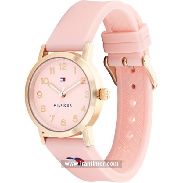 قیمت و خرید ساعت مچی تامی هیلفیگر(TOMMY HILFIGER) مدل 1720038 اسپرت | اورجینال و اصلی