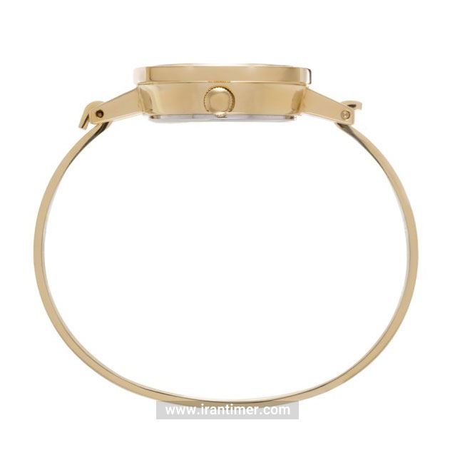 قیمت و خرید ساعت مچی زنانه تکس(TACS) مدل TS2202C-1 کلاسیک | اورجینال و اصلی