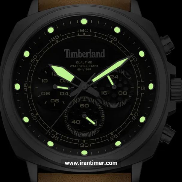 قیمت و خرید ساعت مچی مردانه تیمبرلند(TIMBERLAND) مدل TDWGF0042002 اسپرت | اورجینال و اصلی