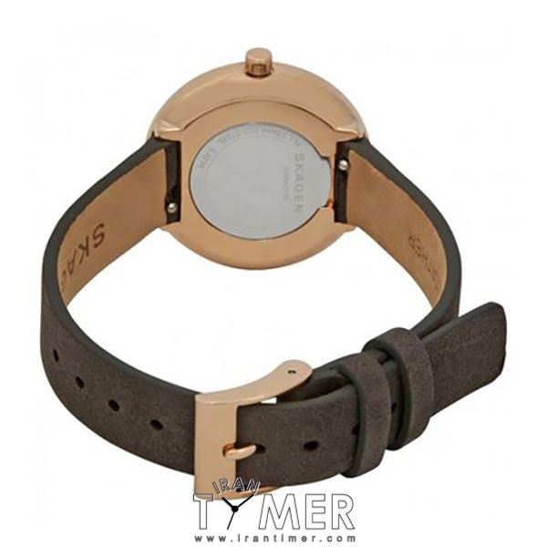 قیمت و خرید ساعت مچی زنانه اسکاگن(SKAGEN) مدل SKW2644 کلاسیک | اورجینال و اصلی