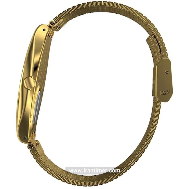 قیمت و خرید ساعت مچی مردانه زنانه سواچ(SWATCH) مدل SYXG106GG کلاسیک | اورجینال و اصلی