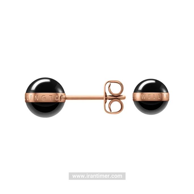 قیمت و خرید گوشواره زنانه دنیل ولینگتون(DANIEL WELLINGTON) مدل DW00400151 کلاسیک | اورجینال و اصلی