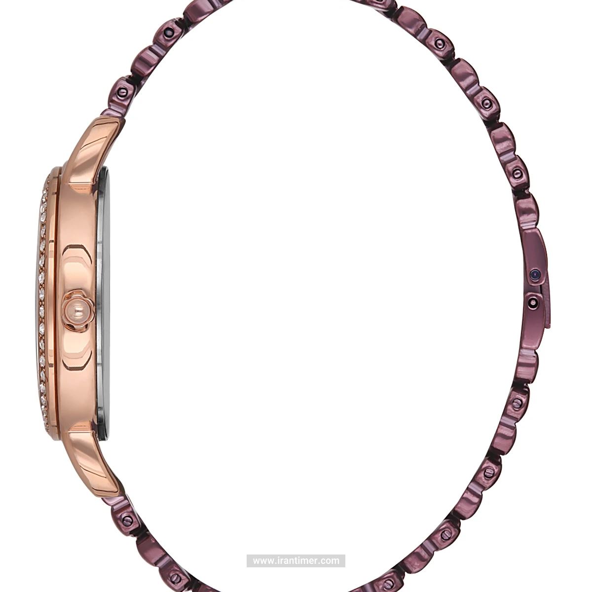 قیمت و خرید ساعت مچی زنانه دنیل کلین(Daniel Klein) مدل DK.1.12564-6 فشن | اورجینال و اصلی