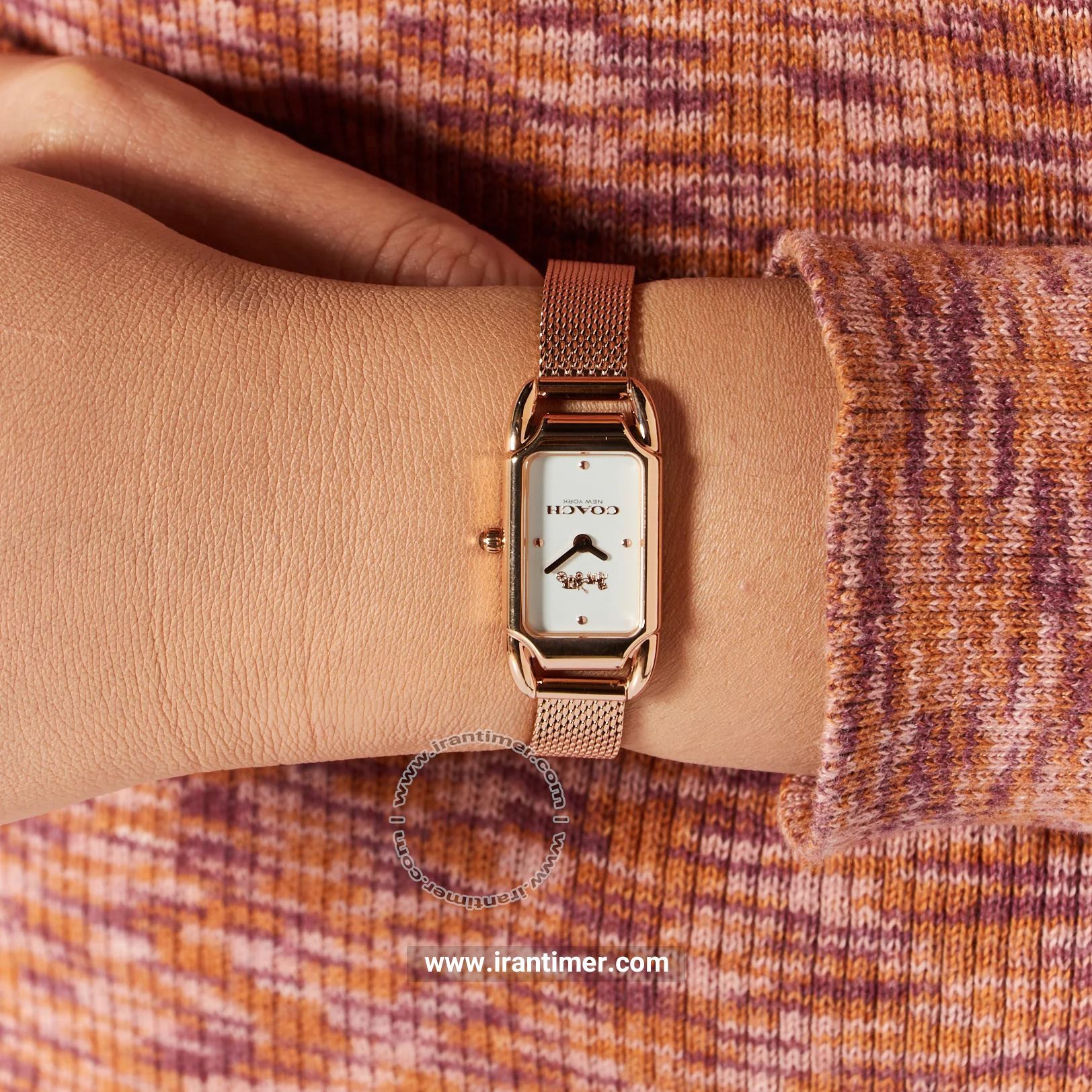 قیمت و خرید ساعت مچی زنانه کوچ(Coach) مدل 14504085 کلاسیک | اورجینال و اصلی