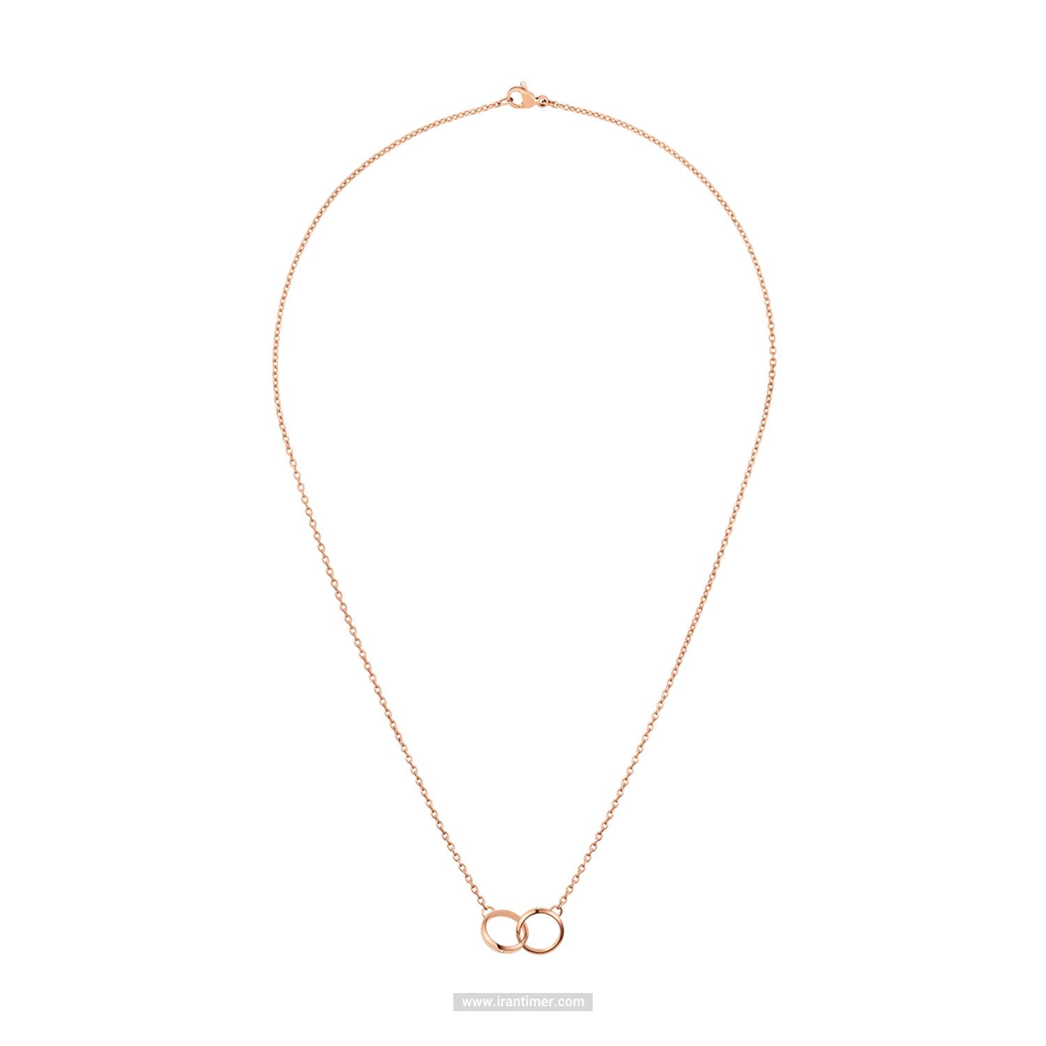 قیمت و خرید گردنبند زنانه دنیل ولینگتون(DANIEL WELLINGTON) مدل DW00400352 فشن (ست لباس) کلاسیک | اورجینال و اصلی