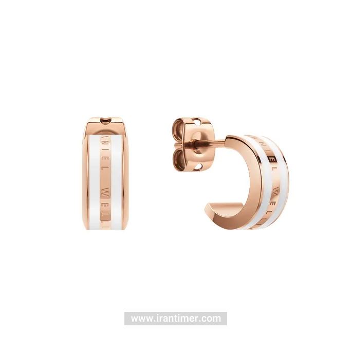 قیمت و خرید گوشواره زنانه دنیل ولینگتون(DANIEL WELLINGTON) مدل DW00400148 کلاسیک | اورجینال و اصلی