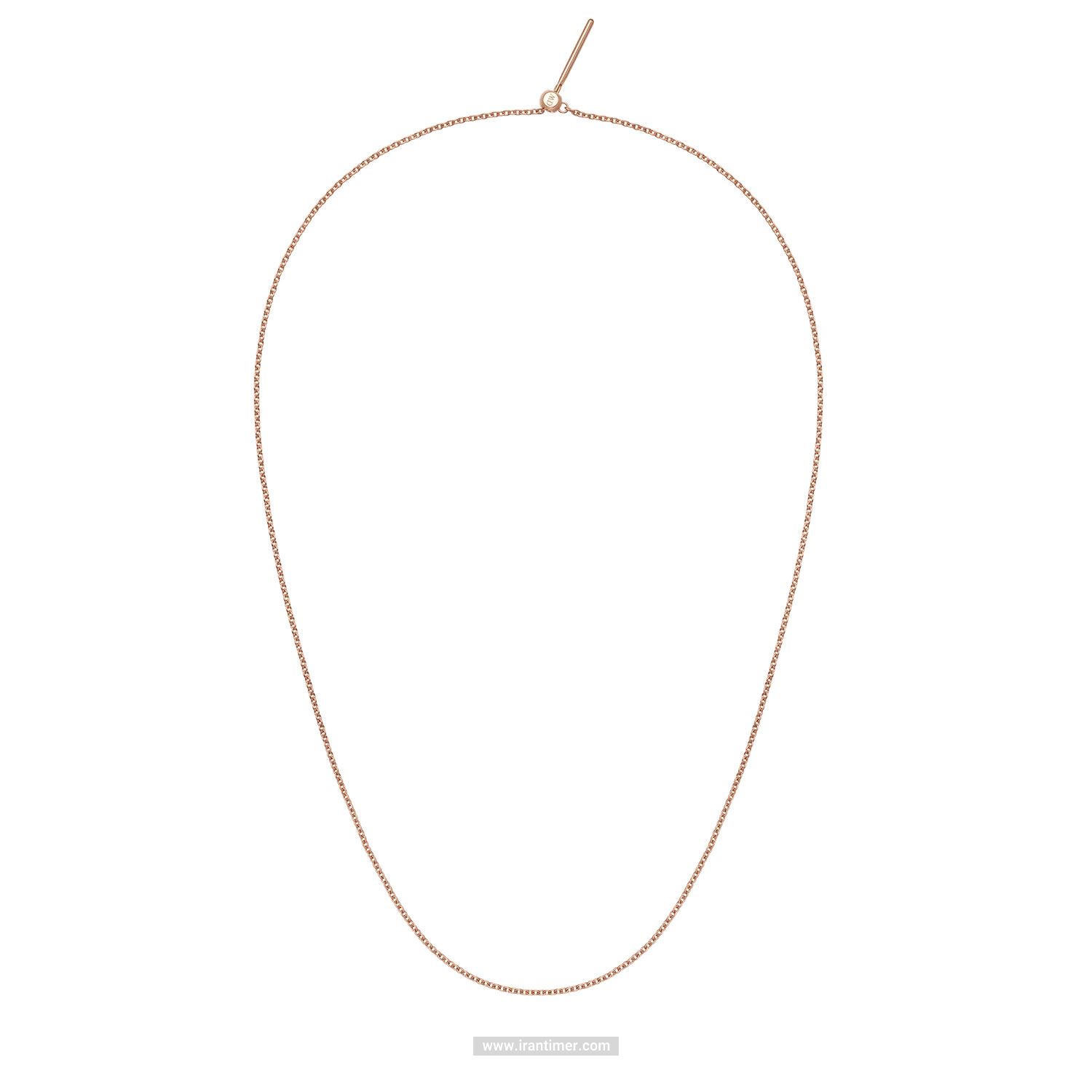 قیمت و خرید گردنبند زنانه دنیل ولینگتون(DANIEL WELLINGTON) مدل DW00400396 کلاسیک | اورجینال و اصلی