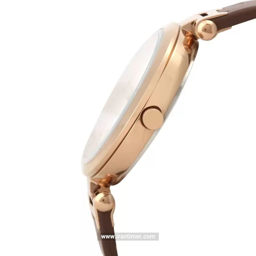 قیمت و خرید ساعت مچی زنانه دنیل کلین(Daniel Klein) مدل DK.1.12281-3 کلاسیک | اورجینال و اصلی