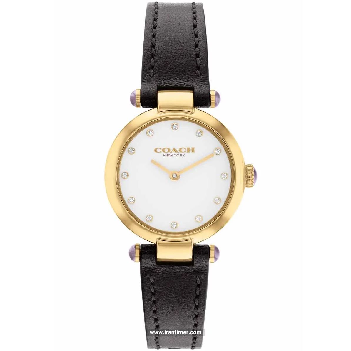 قیمت و خرید ساعت مچی زنانه کوچ(Coach) مدل 14504014 فشن | اورجینال و اصلی