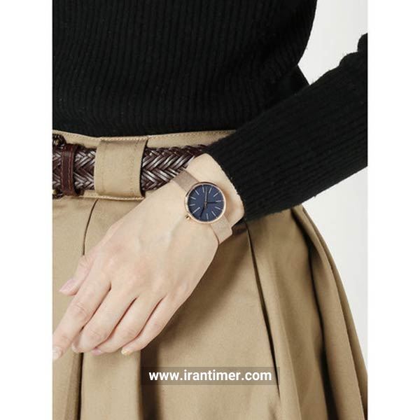 قیمت و خرید ساعت مچی زنانه اسکاگن(SKAGEN) مدل SKW2593 کلاسیک | اورجینال و اصلی