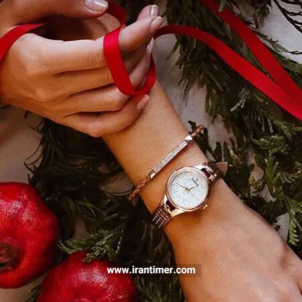 قیمت و خرید ساعت مچی زنانه فستینا(FESTINA) مدل F20408/1 کلاسیک | اورجینال و اصلی