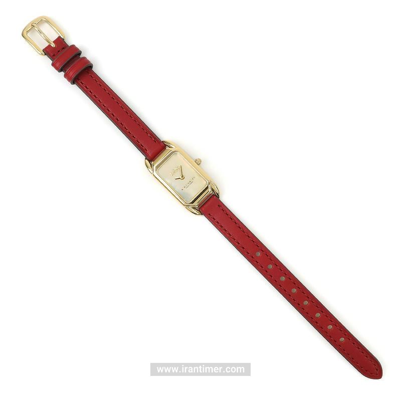 قیمت و خرید ساعت مچی زنانه کوچ(Coach) مدل 14504025 کلاسیک | اورجینال و اصلی