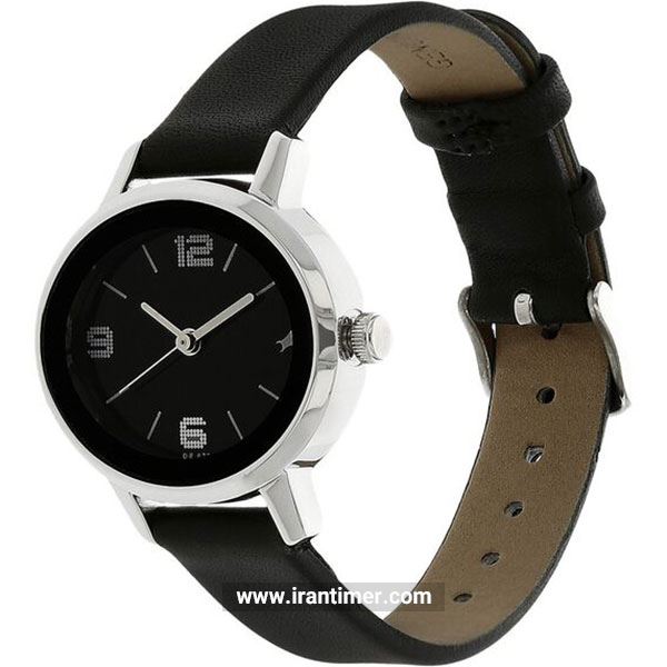 قیمت و خرید ساعت مچی زنانه تایتِن(TITAN) مدل T6107SL02 کلاسیک | اورجینال و اصلی