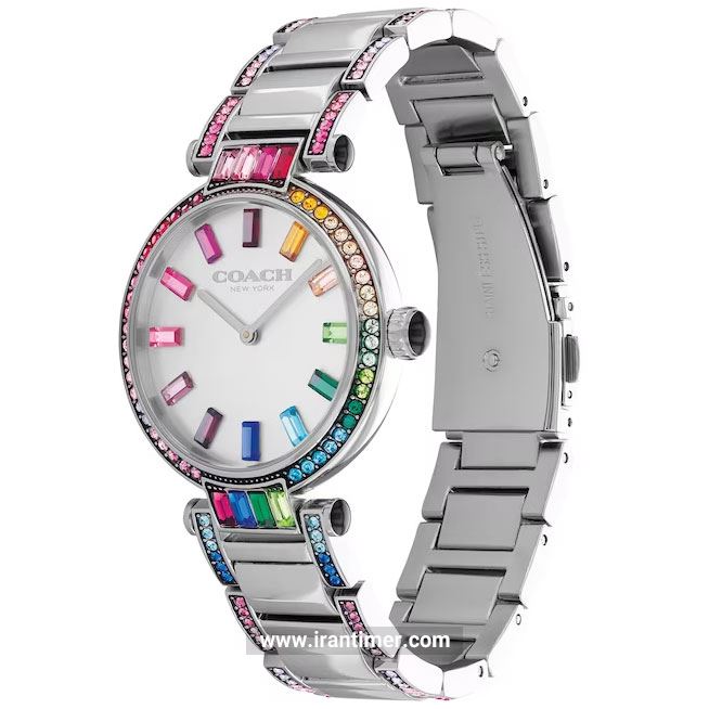 قیمت و خرید ساعت مچی زنانه کوچ(Coach) مدل 14503835 فشن | اورجینال و اصلی