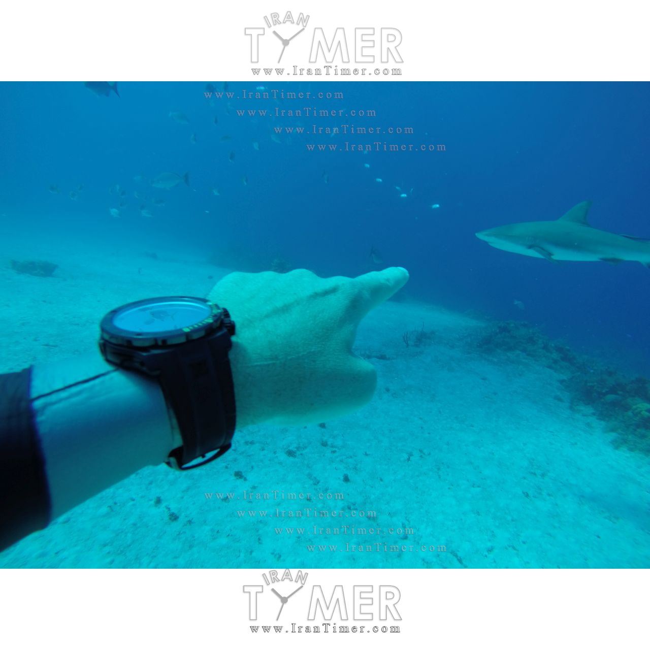 قیمت و خرید ساعت مچی مردانه ادُکس(EDOX) مدل 10221357BUBUV اسپرت | اورجینال و اصلی