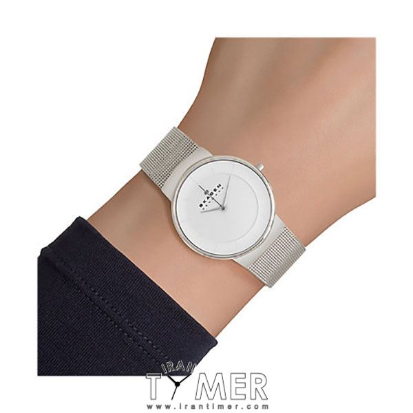 قیمت و خرید ساعت مچی زنانه اسکاگن(SKAGEN) مدل SKW2075 کلاسیک | اورجینال و اصلی