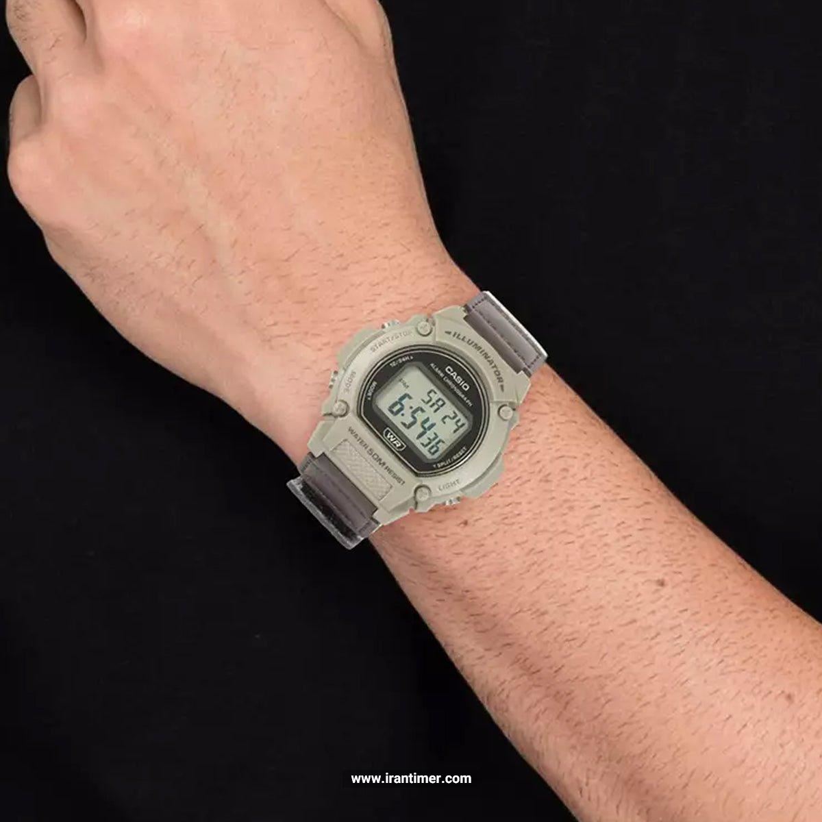 قیمت و خرید ساعت مچی مردانه کاسیو (CASIO) مدل W-219HB-5AVDF اسپرت | اورجینال و اصلی