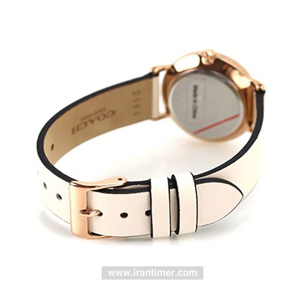 قیمت و خرید ساعت مچی زنانه کوچ(Coach) مدل 14503796 کلاسیک | اورجینال و اصلی