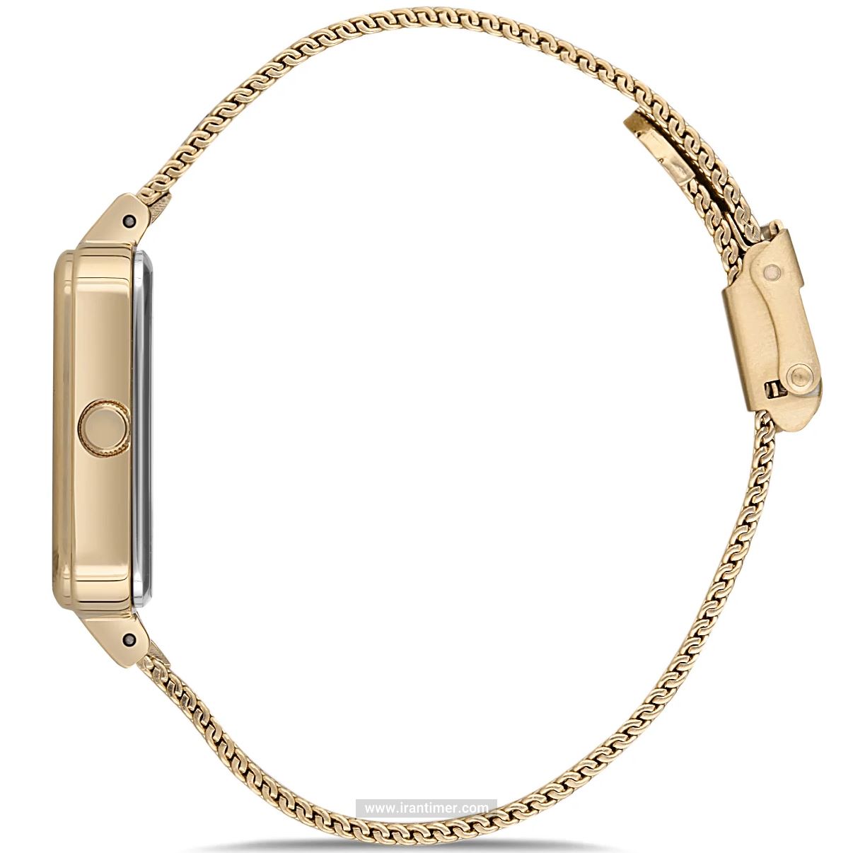 قیمت و خرید ساعت مچی زنانه دنیل کلین(Daniel Klein) مدل DK.1.12537-2 کلاسیک | اورجینال و اصلی