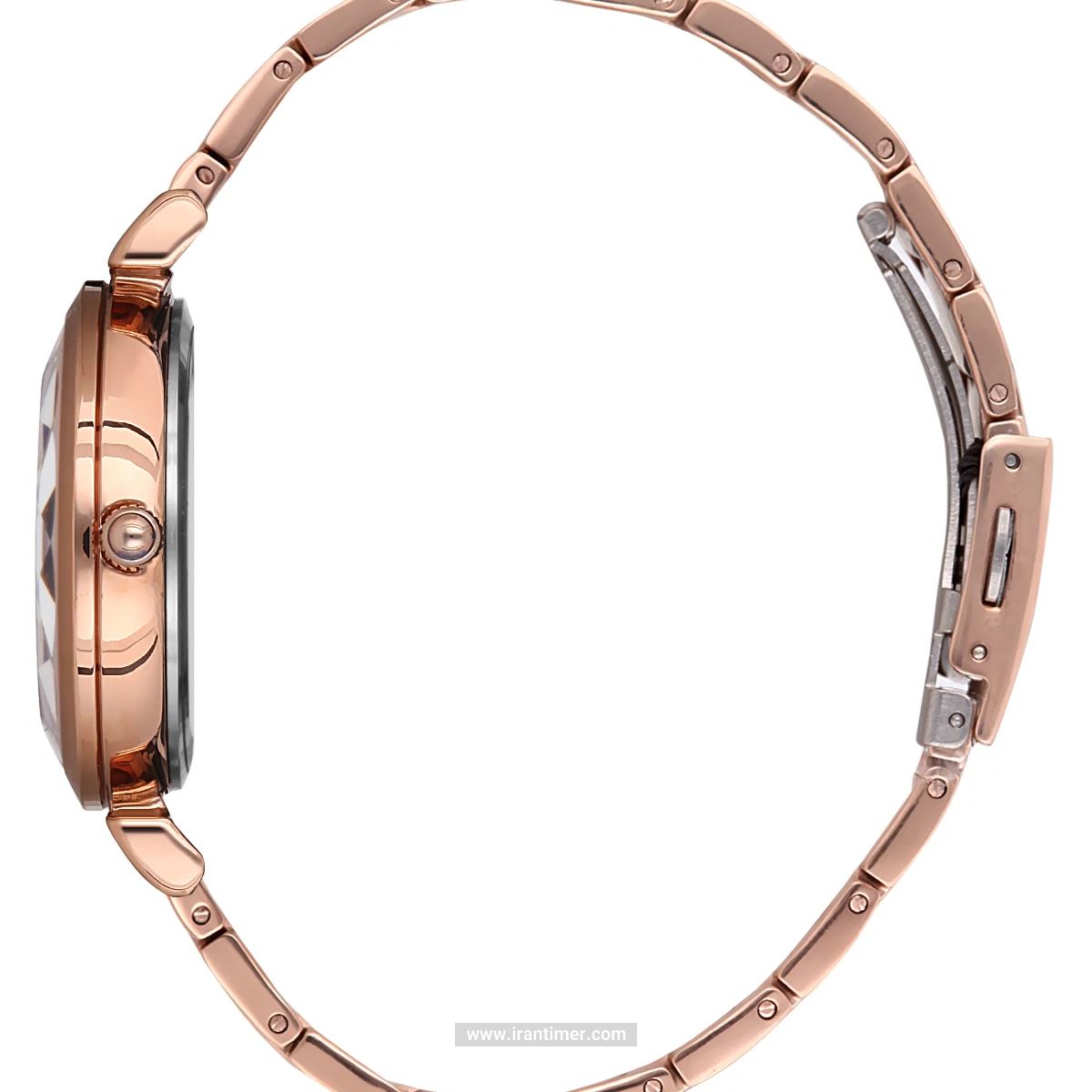 قیمت و خرید ساعت مچی زنانه دنیل کلین(Daniel Klein) مدل DK.1.12536-2 فشن | اورجینال و اصلی