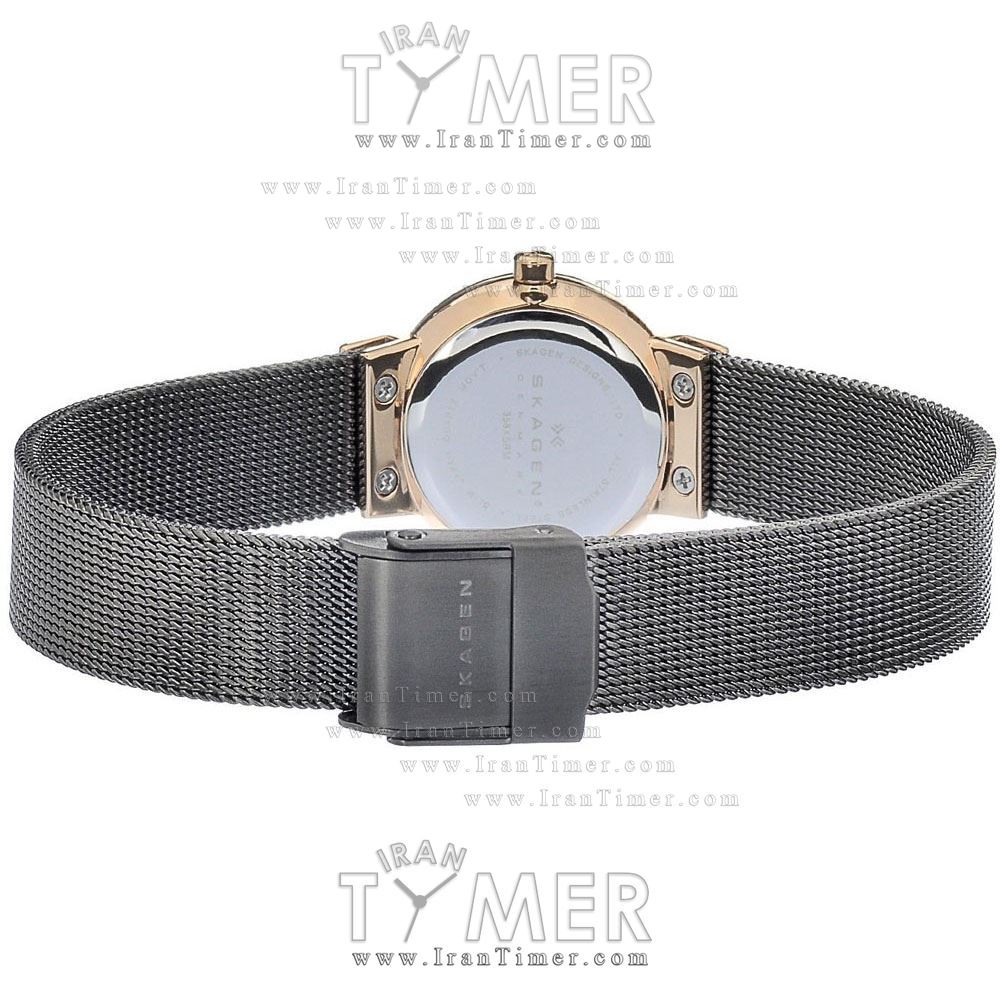 قیمت و خرید ساعت مچی زنانه اسکاگن(SKAGEN) مدل 358XSRM کلاسیک | اورجینال و اصلی